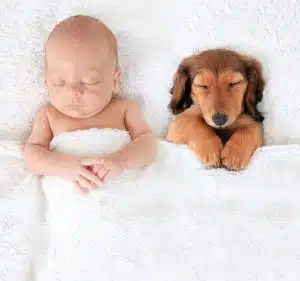 9 Newborn Baby Kit Essentials