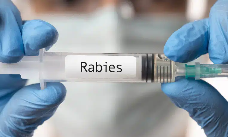 Rabies in Children